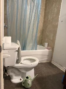 Walk Out Basement Apartment - Photo 2