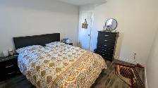 Walk Out Basement Apartment - Photo 4