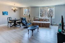 Downtown 2 Bed 2 Bath Condo   Heated Underground Parking - Photo 6