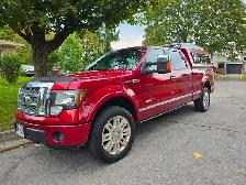 2013 Ford F-150 Platinum - Photo 2