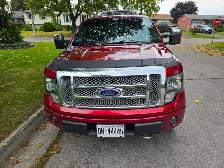 2013 Ford F-150 Platinum - Photo 3