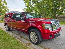2013 Ford F-150 Platinum - Photo 7