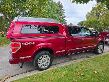 2013 Ford F-150 Platinum - Photo 8
