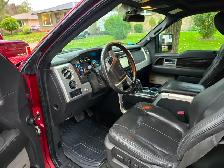 2013 Ford F-150 Platinum - Photo 9
