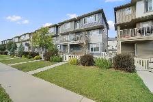 2,175 Sq Ft Lot with Fee-Free 3 Bed Uplands Townhome - Photo 4