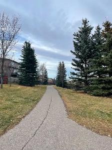 A Cozy, Furnished Room for rent in Panorama HIlls, NW of Calgary - Photo 6
