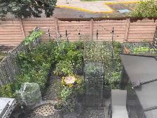 House for Rent - Photo 10