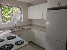 Renovated 1 Bedroom in Strathroy - Photo 5
