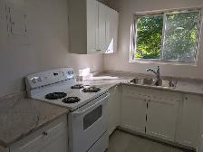 Renovated 1 Bedroom in Strathroy - Photo 6