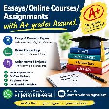 Essays/Online Courses/Assignments with A  grades Assured