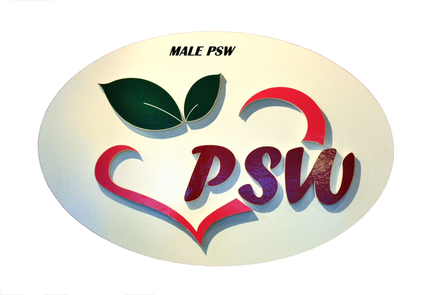 Professional PSW Services
