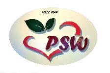 Professional PSW Services