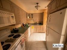 Master B/R in a 4 B/R End-Unit Townhouse in S. Guelph-Dec 1,2026 - Photo 7