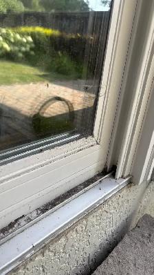 A&N EXTERIOR SERVICES - Photo 2