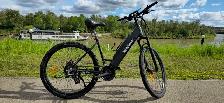 Silverback E-Bike Pedal-Assist Rental Fleet Sale 5 Available - Photo 2