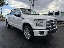2017 Ford F-150 Platinum - Photo 3