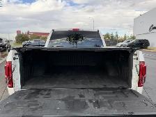 2017 Ford F-150 Platinum - Photo 29