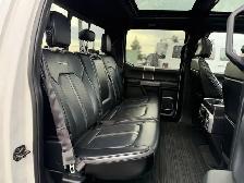 2017 Ford F-150 Platinum - Photo 30