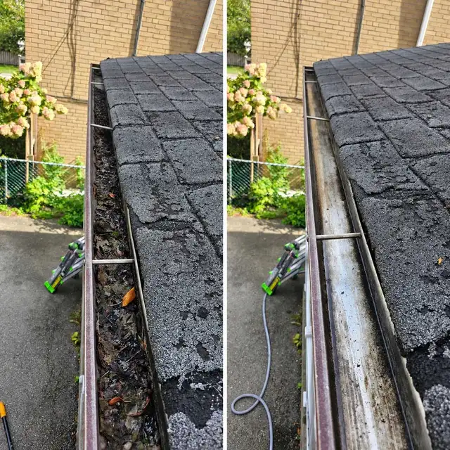 Gutters and windows cleaning