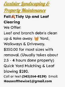 Fall Tidy Up Leaf Clearing & Removal. - Photo 2