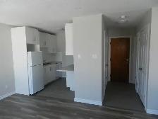 BACHELOR APARTMENT AVAILABLE – 7 RUFUS AVENUE - Photo 4