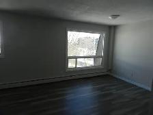 BACHELOR APARTMENT AVAILABLE – 7 RUFUS AVENUE - Photo 8
