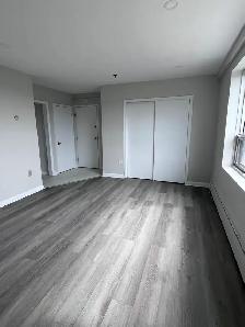 NEWLY RENOVATED ONE BEDROOM APARTMENT IN FAIRVIEW - 49 MELROSE A - Photo 3
