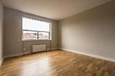 renovated one bedroom - ID 899 - Photo 7