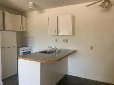 1 Bedroom Apartments Across from Red Deer River - Photo 3