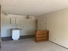 1 Bedroom Apartments Across from Red Deer River - Photo 4