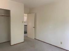 1 Bedroom Apartments Across from Red Deer River - Photo 5