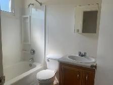 1 Bedroom Apartments Across from Red Deer River - Photo 7