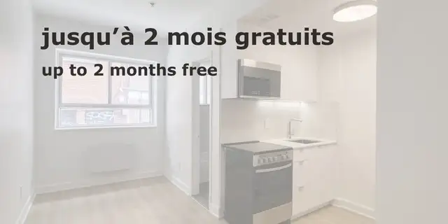 Renovated Studio apartment near blvd Saint-Laurent - ID 1452