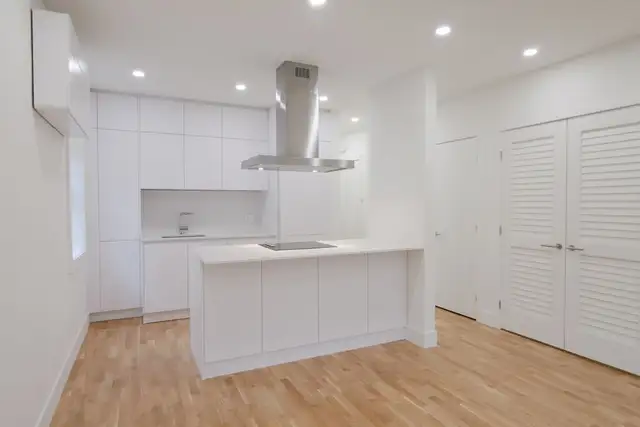 renovated one-bedroom apartment near Concordia - ID 331