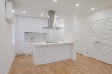 renovated one-bedroom apartment near Concordia - ID 331