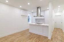 renovated one-bedroom apartment near Concordia - ID 331 - Photo 2