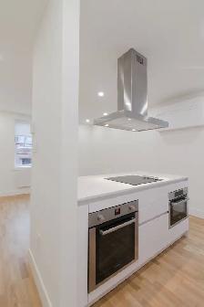 renovated one-bedroom apartment near Concordia - ID 331 - Photo 4