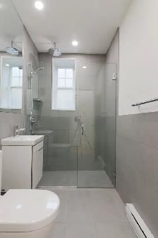 renovated one-bedroom apartment near Concordia - ID 331 - Photo 7