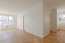 modern one-bedroom apartment on Sherbrooke near Guy - ID 2152