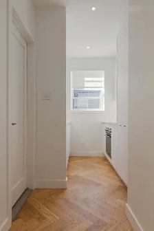 modern one-bedroom apartment on Sherbrooke near Guy - ID 2152 - Photo 5