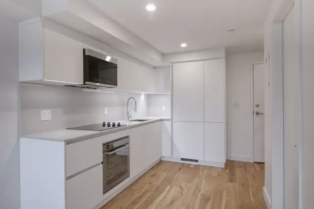 renovated one bedroom apartment near McGill - ID 3575