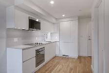renovated one bedroom apartment near McGill - ID 3575