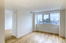 renovated one bedroom apartment near McGill - ID 3575 - Photo 3
