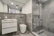renovated one bedroom apartment near McGill - ID 3575 - Photo 6
