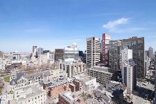 renovated one bedroom apartment near McGill - ID 3575 - Photo 11
