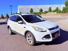 2013 Ford Escape SEL 4dr Front-wheel Drive Automatic - Photo 3