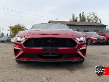 2021 Ford Mustang Ecoboost Premium - Photo 3