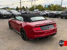 2021 Ford Mustang Ecoboost Premium - Photo 12