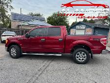 2014 Ford F-150 XLT SuperCrew 4WD (5.0L 8cyl 6A) CERTIFIED - Photo 8