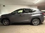 Lexus NX 300 Premium 2020 - Photo 2